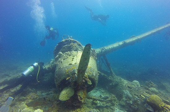 Сохранность подводных памятников предлагают возложить на регионы