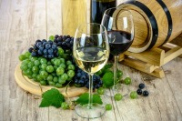 В Крыму готовы производить органическое вино