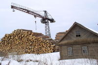 Стоимость древесины в России за год выросла в два раза