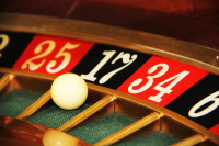 Станкевич предложил изменить сроки отчислений от азартных игр
