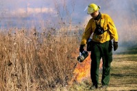 Эксперты назвали главные причины пожаров в сельской местности