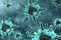 Учёный объяснил возникновение сдвоенных мутаций коронавируса