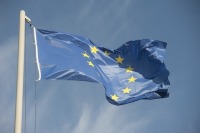 Евросоюз отказался признать результаты выборов президента Сирии 