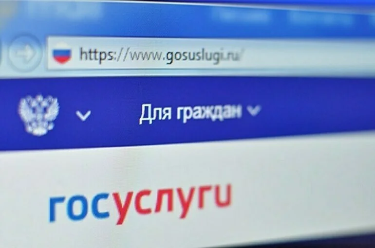 Общественные слушания предлагают проводить на «Госуслугах»