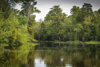 Добычу полезных ископаемых на болотах хотят упростить