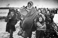 Сенаторы предлагают признать убийства мирного населения СССР в годы войны геноцидом