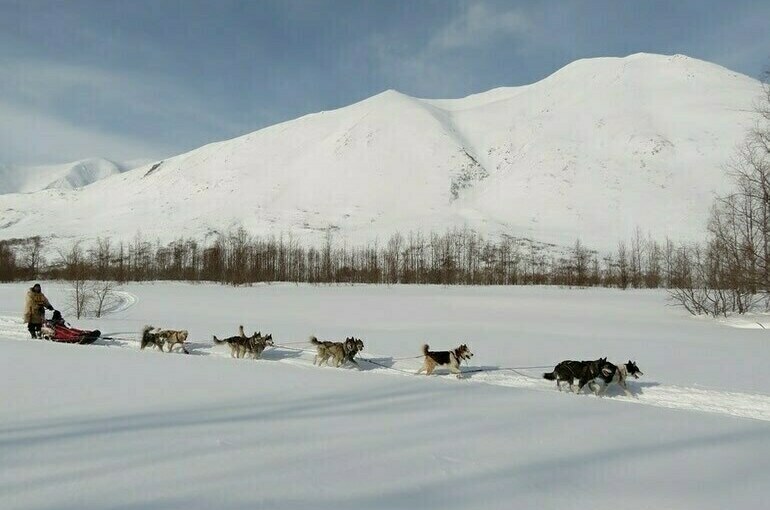 Кочевникам хотят упростить регистрацию