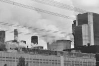 Глава Росприроднадзора предложила составлять экологические антирейтинги компаний