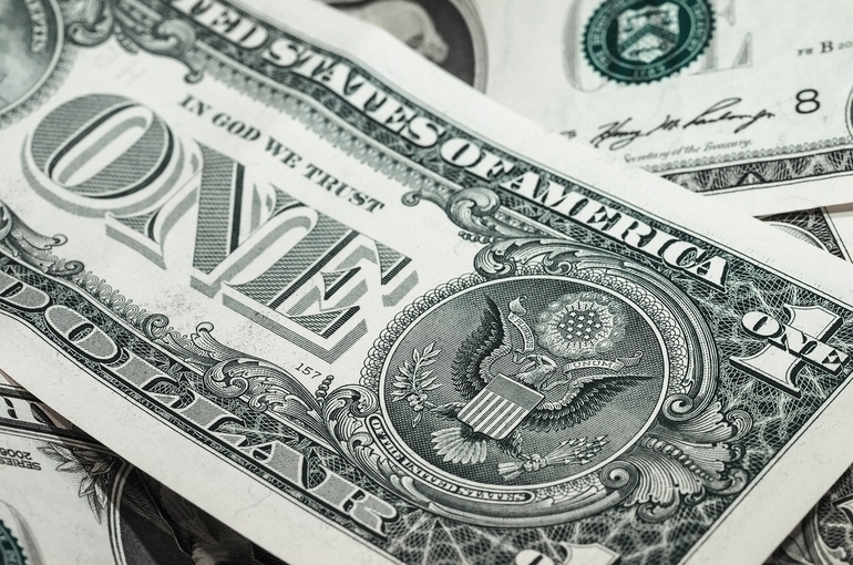 Эксперт объяснил причины быстрого отказа от доллара в ФНБ