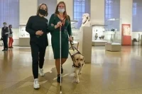 В правилах по выгулу собак могут сделать исключение для поводырей