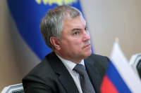 Володин предложил ПАСЕ и ОБСЕ заняться мониторингом политики украинских властей