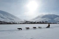 Кочевникам предлагают регистрироваться в любых муниципалитетах