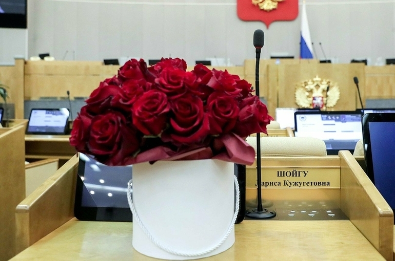 Госдума досрочно прекратили полномочия Ларисы Шойгу