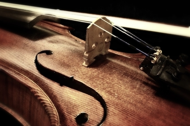 В России предложили маркировать все скрипки и виолончели для вывоза на гастроли