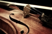В России предложили маркировать все скрипки и виолончели для вывоза на гастроли