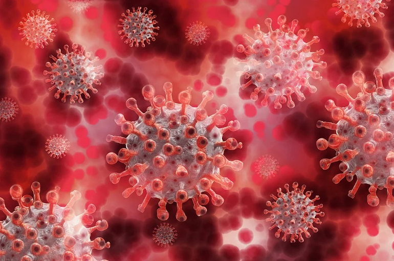 В России создали базу данных мутаций коронавируса