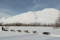 Кочевникам разрешат регистрироваться в районе кочевания