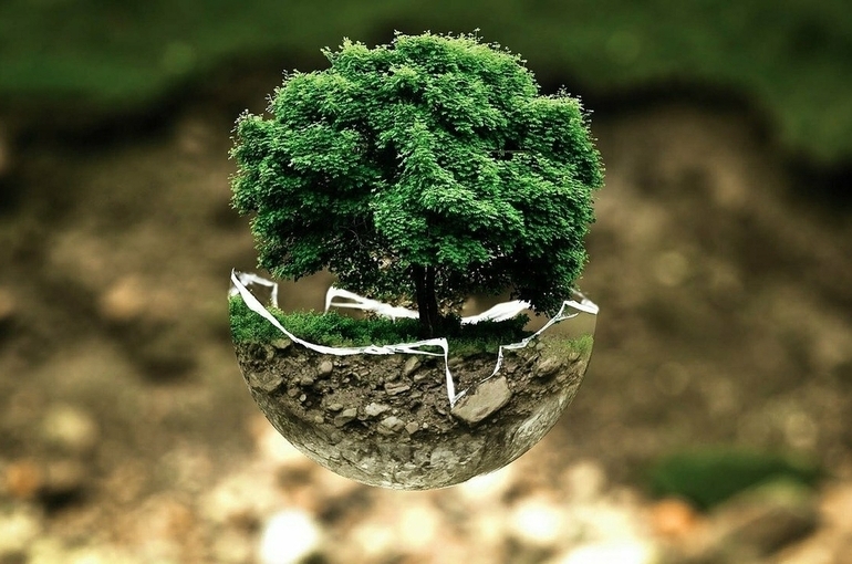 Путин: Россия продолжит курс на внедрение строгих экологических стандартов