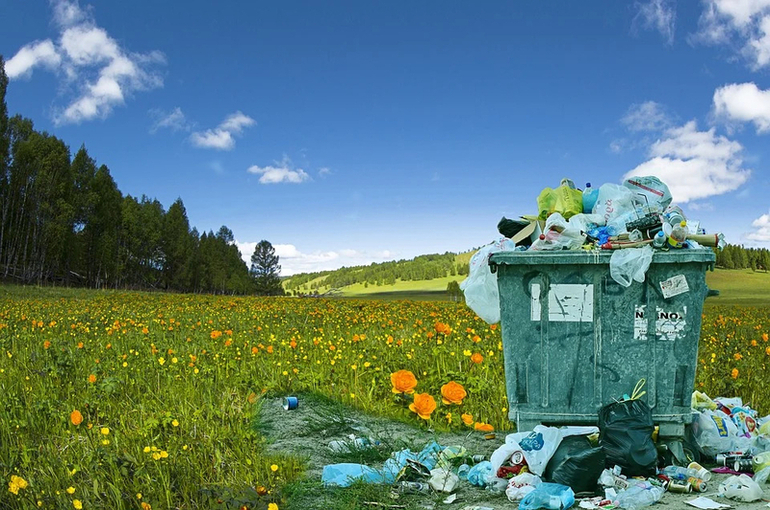 Валуев: убрать мусор помогут штрафы и общественный контроль