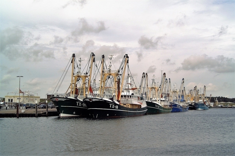 Минсельхоз предлагает субсидировать перевозки рыбы с Дальнего Востока