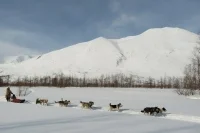 Кочевникам разрешат регистрироваться в любом муниципалитете на их маршруте