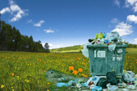 Шапошников: кабмин одобрил проект об ужесточении наказания за сброс мусора