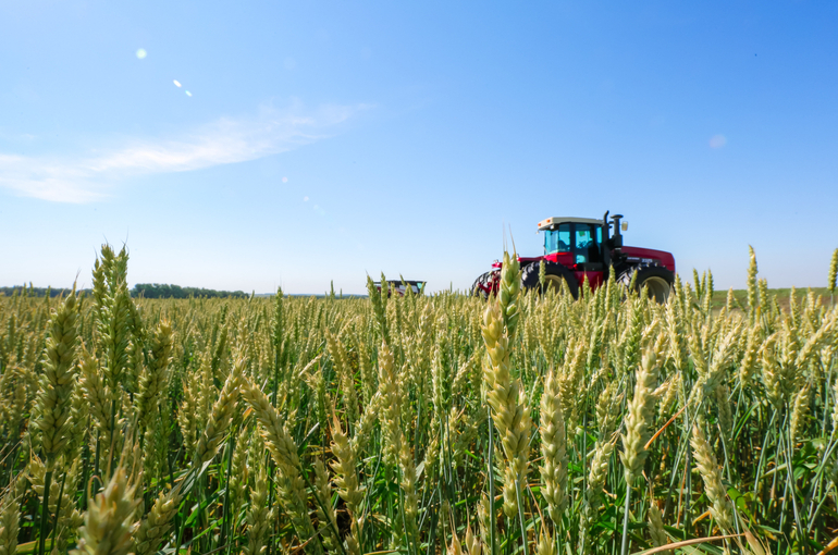 В отрасль минеральных удобрений направят солидные инвестиции