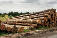 Минпромторг к осени проработает меры поддержки небольших предприятий леспрома