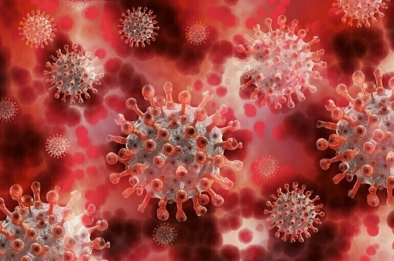 Новые рекорды по смертности от коронавируса установлены в Москве и Петербурге