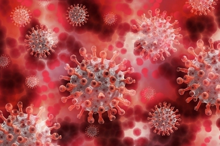 Американские учёные: коронавирус научился по-новому заражать людей