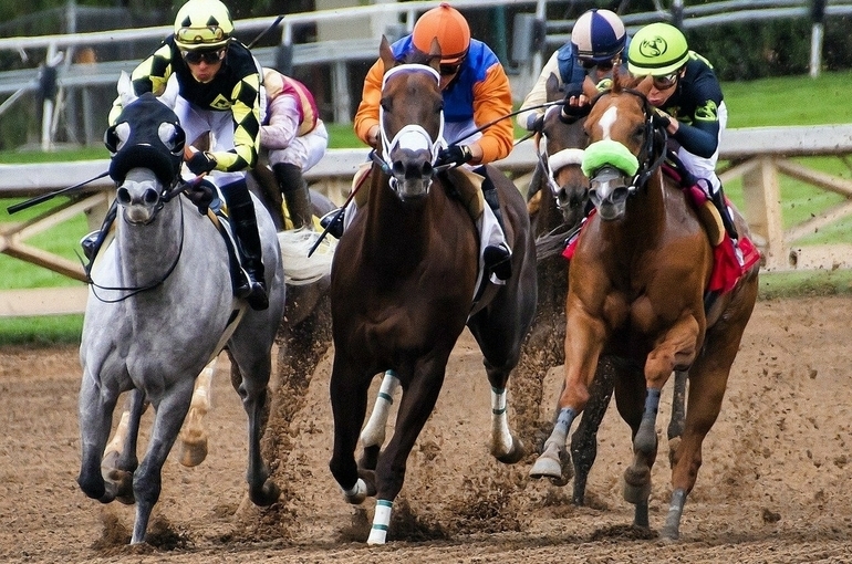 Кабмин предлагает разрешить рекламу азартных игр при трансляции скачек