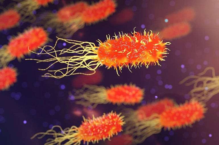 Попова: пандемия обострила проблему устойчивости к антибиотикам 