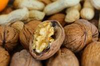 Биологи вывели грецкие орехи с хрупкой скорлупой