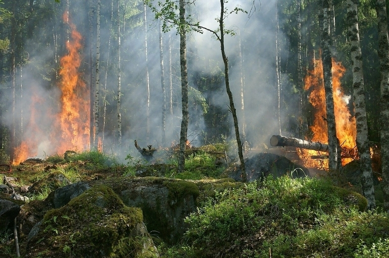 В Тольятти вспыхнул природный пожар на площади 30 га