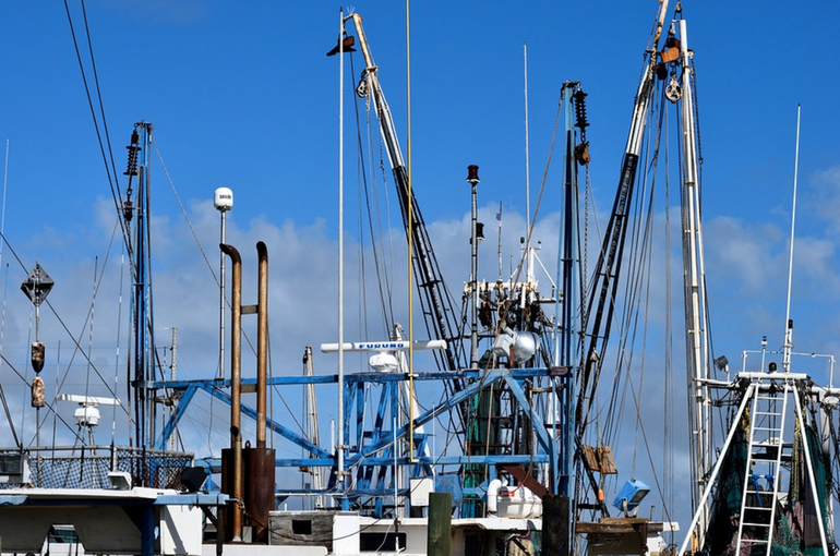 Иностранное участие в рыбодобывающих компаниях ограничили