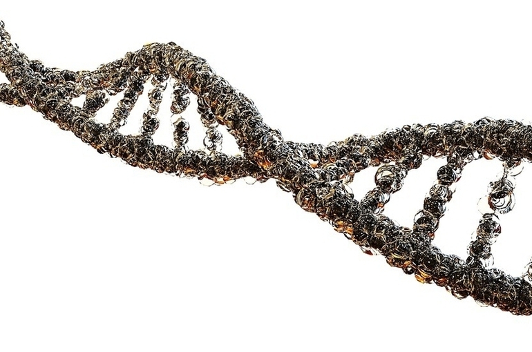 ВОЗ выступила за сотрудничество в мире в вопросах редактирования генома человека