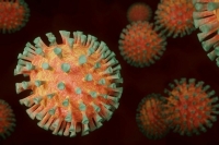 Биолог рассказала, чем опасен дельта-штамм коронавируса