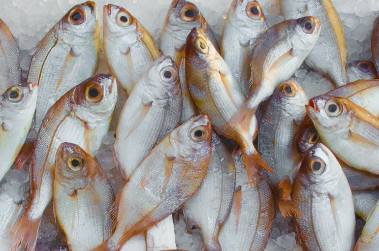 В Роспотребнадзоре рассказали, как выбрать свежие продукты