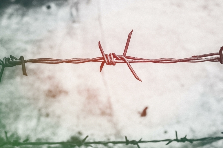 Австрия окажет помощь Литве по защите границ