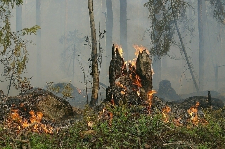 В Якутии за сутки ликвидировали 12 природных пожаров