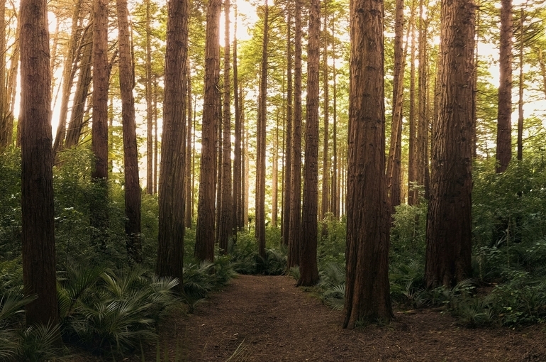 ФосАгро и РАН запускают проект по созданию карбоновой фермы