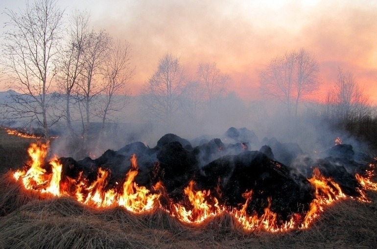 В результате пожара вблизи Афин сгорели около ста домов