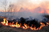 В результате пожара вблизи Афин сгорели около ста домов