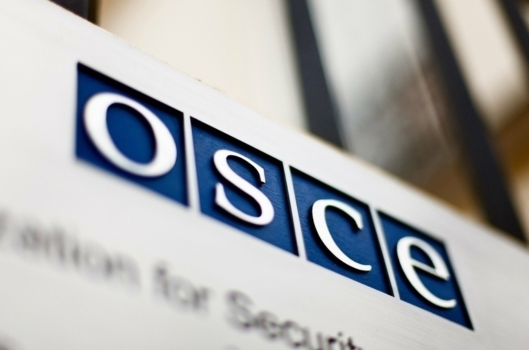 ОБСЕ не направит наблюдателей на выборы в Госдуму