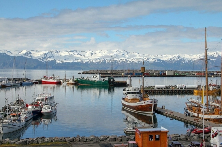 Депутат рассказал, какие законы нужно принять для освоения Арктики