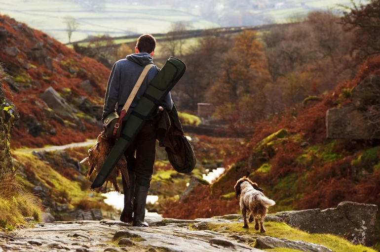 Вымирание животных заметят вовремя 