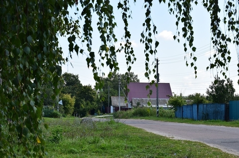  Путин: власти рассматривают разные варианты поддержки села