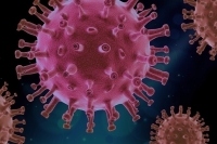 В России впервые от коронавируса за сутки умерло более 800 человек