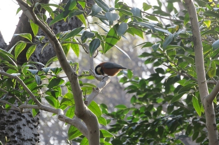 Даурский заповедник станет больше и удобнее для туристов