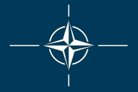 Главы МИД НАТО соберутся на экстренную онлайн-встречу по Афганистану 20 августа